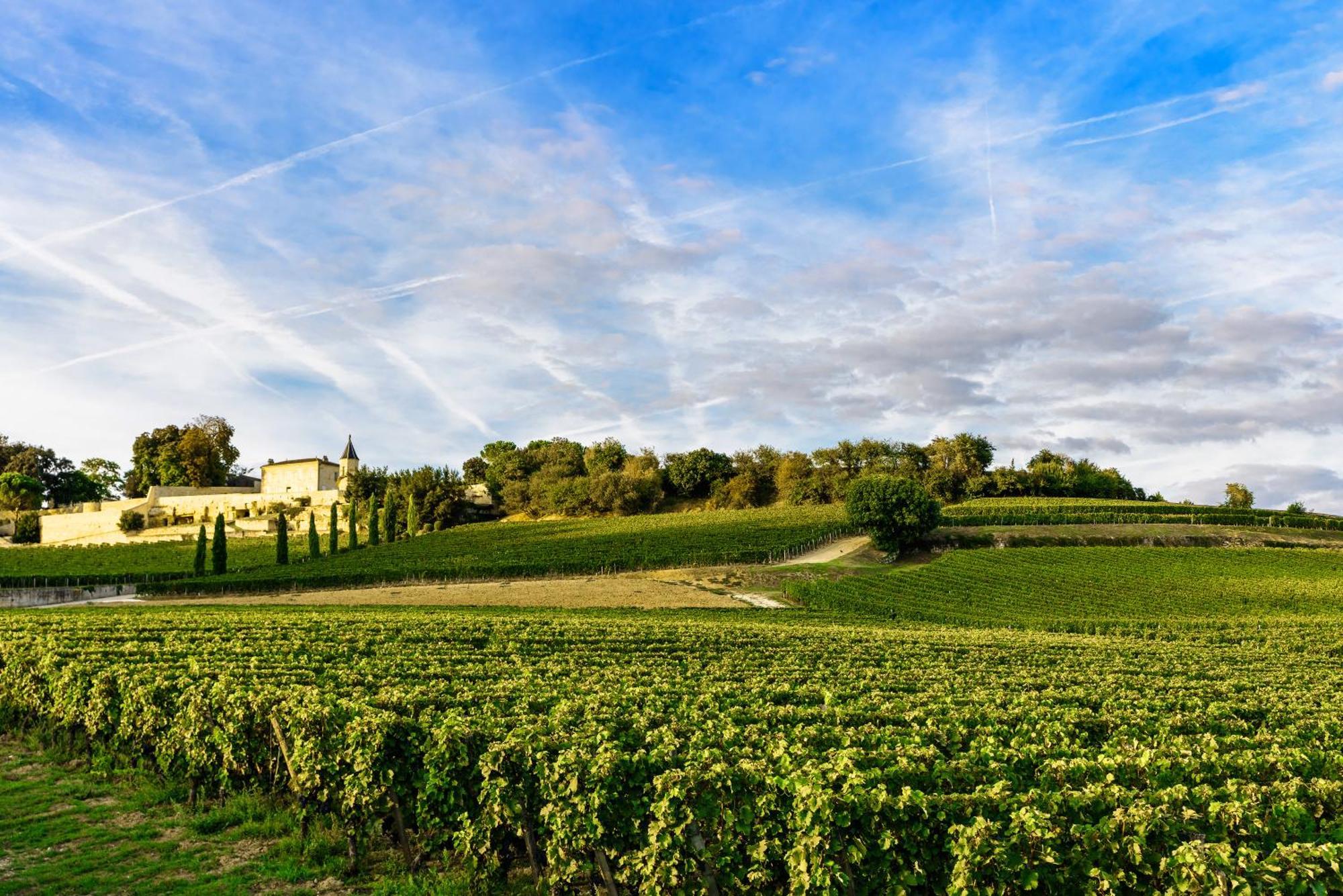 Clos 1906 Saint-Émilion Zewnętrze zdjęcie